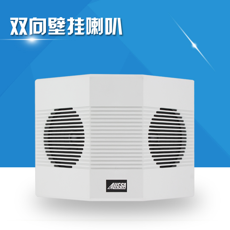 壁挂音箱  墙壁喇叭双向壁挂 双面 大功率 挂壁 悬挂音箱