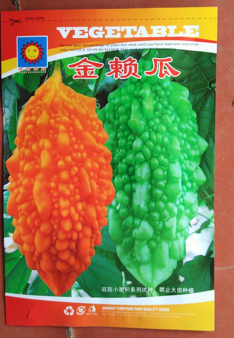 原包装金癞瓜种子 癞葡萄种子 红娘瓜 离子瓜 黄金瓜 金铃子包邮