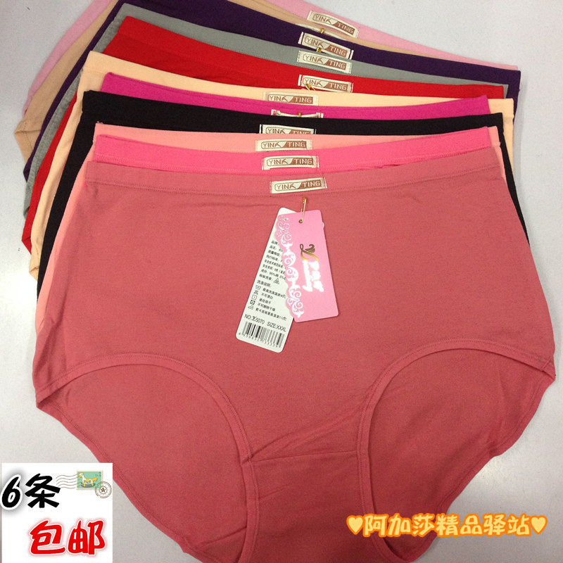 女士全棉纯色抗菌内裤6条包邮图片