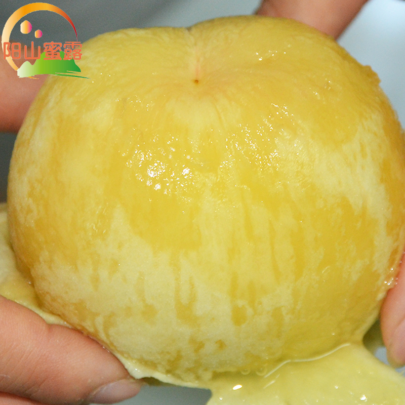 阳山蜜露_正宗阳山水蜜桃 无锡特产新鲜水果桃子6两左右8个礼盒装|ruв категории водной мясо/свежие фрукты и овощи/еда, свежие фрукты, персик - от Buy2taobao.com для оказания профессиональной услуги покупки агента Taobao