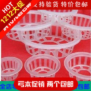 园艺用品水培植物定植篮水培绿植固根器固定植物用的定置兰定植蓝