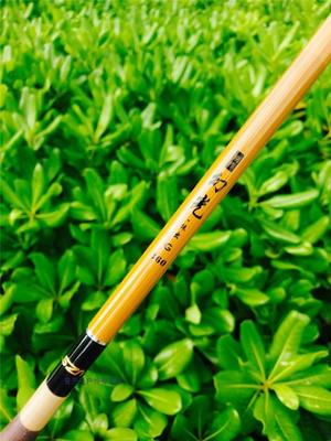 别作幻光钓鱼竿光威代理日本SZM