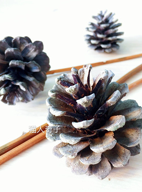 日式风松果摆件永生花桌面装饰