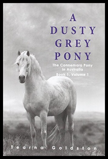 【预售】A Dusty Grey Pony Book 1 Volume 1