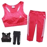 Coques pour soutien-gorge CANVAUS - Ref 822221 Image 48