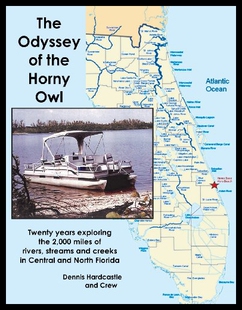 Odyssey The 预售 Owl the Horny