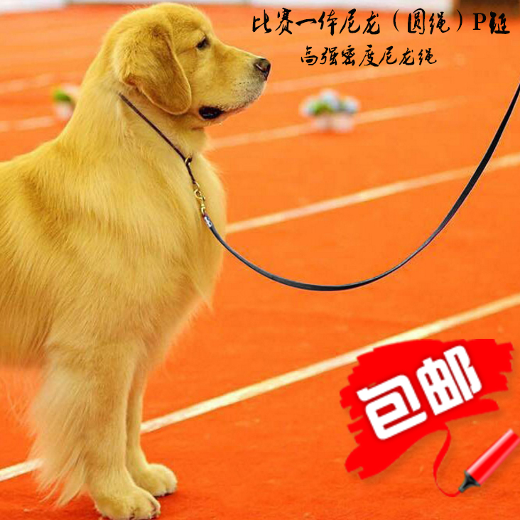 宠物狗狗比赛牵引绳带项圈P绳训练狗绳链泰迪比熊柯基中小型犬用