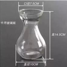 热销葫芦中号型透明玻璃花瓶风信子郁金香种植瓶室内阳台水培花卉