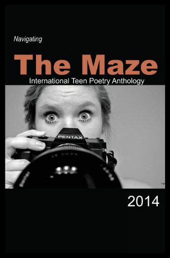 【预售】Navigating the Maze