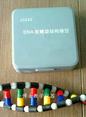 33307 DNA双螺旋结构模型组件 DIY制作 生物实验器材 教学仪器