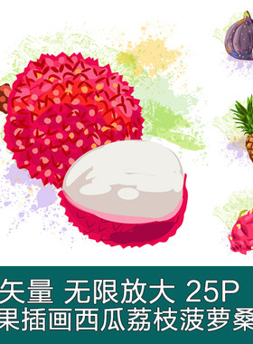 A2976矢量水果荔枝桑葚菠萝西瓜百香果哈密瓜火龙果 AI设计素材
