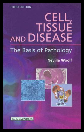 美国库房发货，通常付款后5-8周到货！