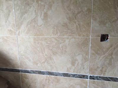 很关注牛元美瓷宝双管美缝剂怎么样，全方位深度解析