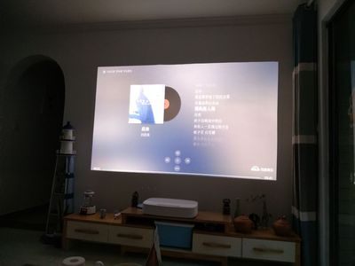 请问真的觉得极米皓·LUNE和海信l5区别是什么??评测极米皓·LUNE和海信l5哪个好