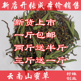 山蜜草云南长寿草，山蜜草茶山，密草茶梗添甜菊叶500g