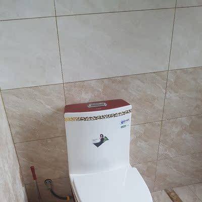 纳蒂兰卡家用智能n1066自动坐便器怎么样？听说是最大的坑爹牌子？