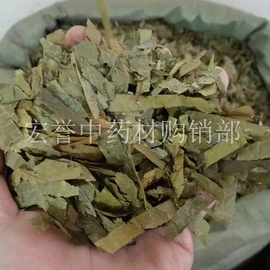 布渣叶破布叶麻布，叶500克足干凉茶配方，之一薢宝叶