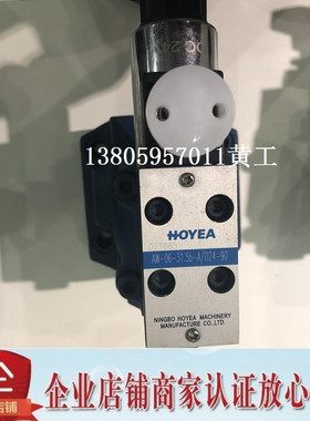HOYEA电磁单向阀AW-06-31.5B-A/D24-90 H-AP-204A YZ-01
