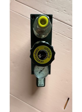 议价百超氧气调压阀HL-Nr.10852 正品