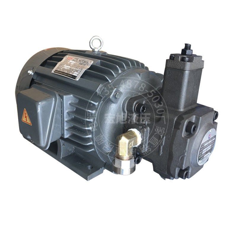 液压油泵电机组内轴叶片泵1.5kw vp20vp30 2.2kw vp20vp30cbn306