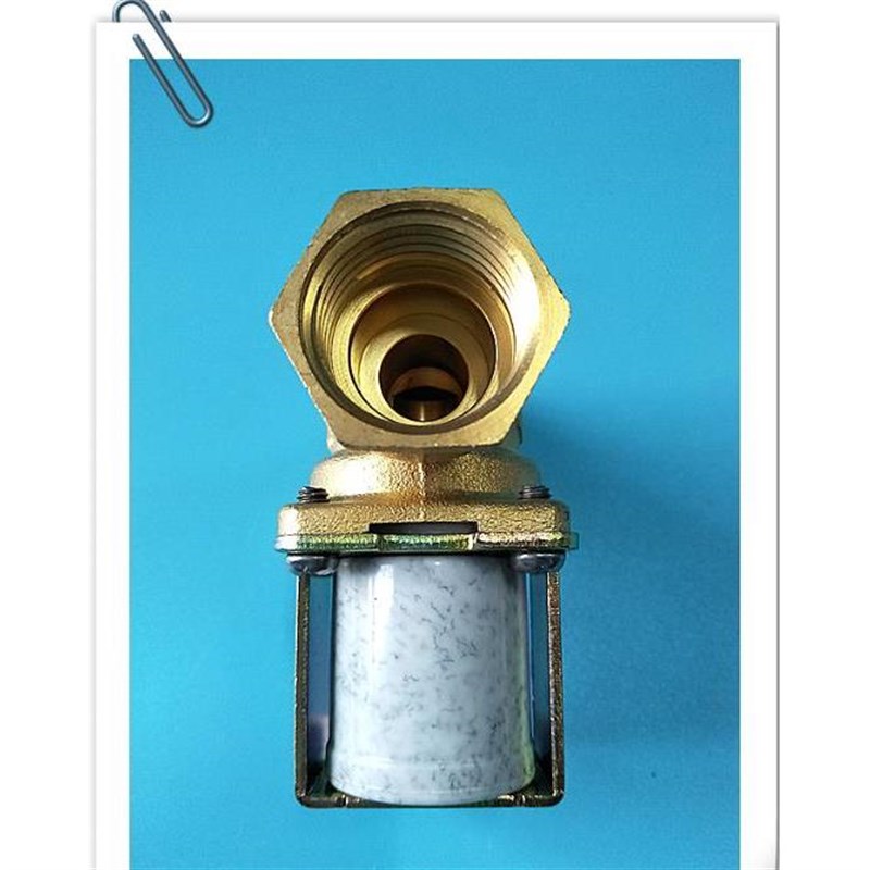 湘君正品水控机进水电磁阀FZ-H3N-9/12/24/220V