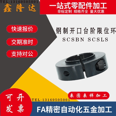 凸台阶型固定环 SCSBN/SCSLS 6/8/10/12/15/17/20/25/30/35/40/50