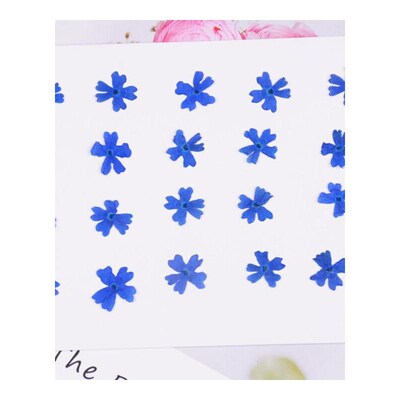 120pcs 10mm Pressed Dried Flower Cherry blossoms Filler  Epo