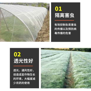 果树防虫网蔬菜大棚专用养猪场防蚊网网罩防虫袋大棚用护栏养殖