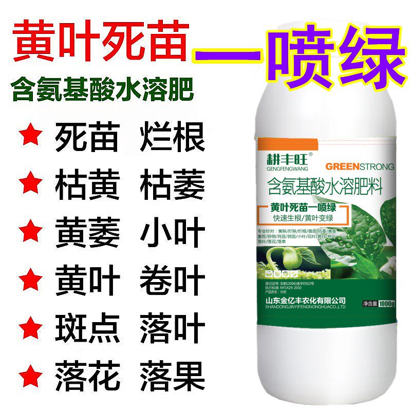 速发推荐栀子花发财树叶黄月季花绿萝叶子发黄怎么办 叶子黄了花