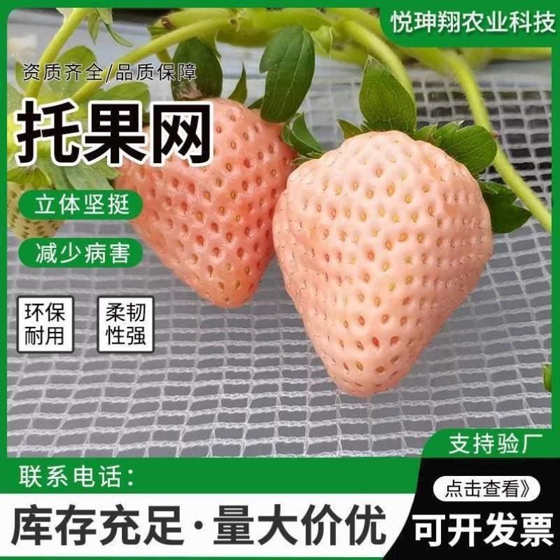 网托果草莓栽果磨损托果栽培大棚架草莓防防烂种植专用网网草莓