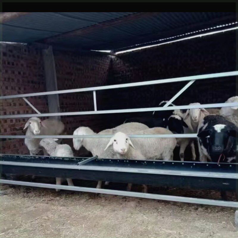 单面槽单面羊槽全新加厚输送带胶皮羊食槽带架子用于家用养殖用户