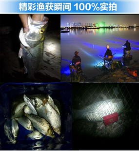 五光源9000W感应钓鱼灯变焦超亮夜钓灯蓝光充电夜光灯.强光大功率