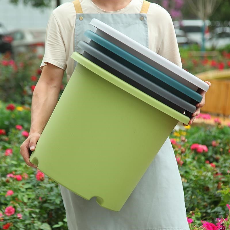 15加仑7加仑6加仑大型四季加仑花盆特大号塑料盆种树大型落地绿植