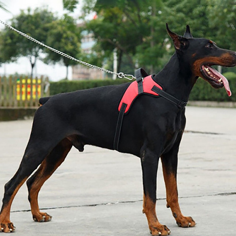 网红Dog Soft Adjustable Harness Pet Large Dog Walk Out Harne
