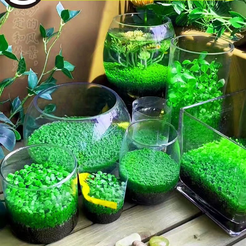 古法乌龟缸超白玻璃别墅生态一体饲养箱大小型造景晒台鱼龟混养缸