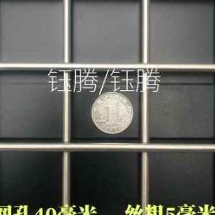 电焊 新品 孔焊方网片钢丝网新品 钢304接不锈钢防护 锈筛网s网片不