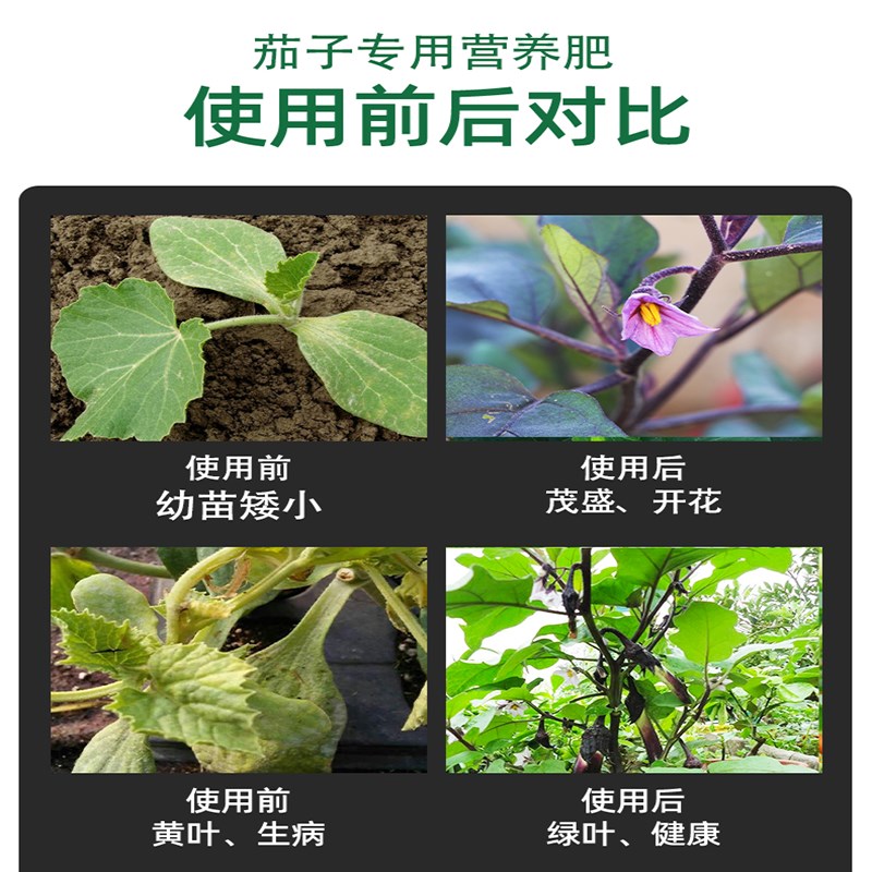 速发茄子肥料茄子专用肥复合肥番茄黄瓜辣椒蔬菜开花结果种不只蕃