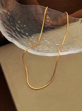 欧美气质简约小众k蛇链项链网红新潮时尚高级感锁骨链个性颈链160