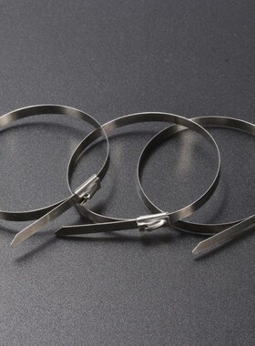 100pcs 304 Stainless Steel Ball Lock Cable Ties Self Locking