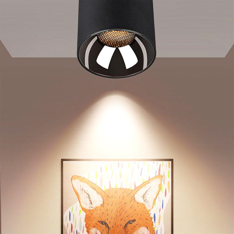 射灯LED灯轻奢吸顶天花板w灯防眩明装家用筒灯新款客厅一体明装筒,家装灯饰光源,明装筒灯,淘宝优惠券,粉丝福利购,淘宝优惠卷