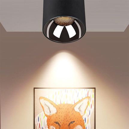 射灯LED灯轻奢吸顶天花板w灯防眩明装家用筒灯新款客厅一体明装筒