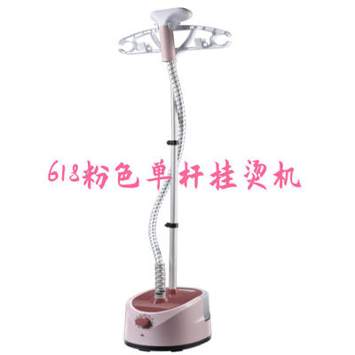 推荐electric compact iron steam soleplate clothes steamer 熨