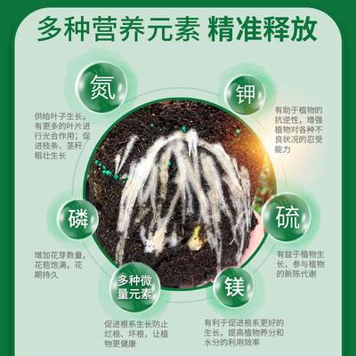 腾飞园艺普立安控释肥家用养花肥料绿植花卉通用型绣球月季颗粒肥