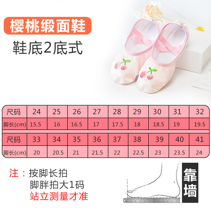 小众高货儿童舞鞋春夏季软底练功鞋女孩芭蕾舞鞋女童中国幼儿园跳