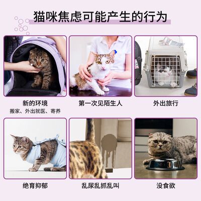 费利威FELIWAY经典补充液48mEl 猫咪安抚情绪舒缓应激引导撒尿