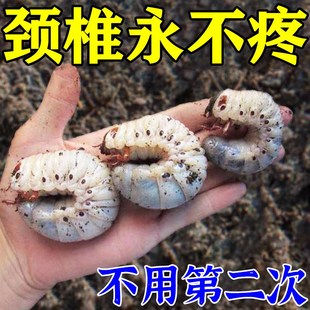 颈椎贴膏特效颈椎压迫神经头晕手X麻颈椎疼痛 厂家 颈椎当晚好