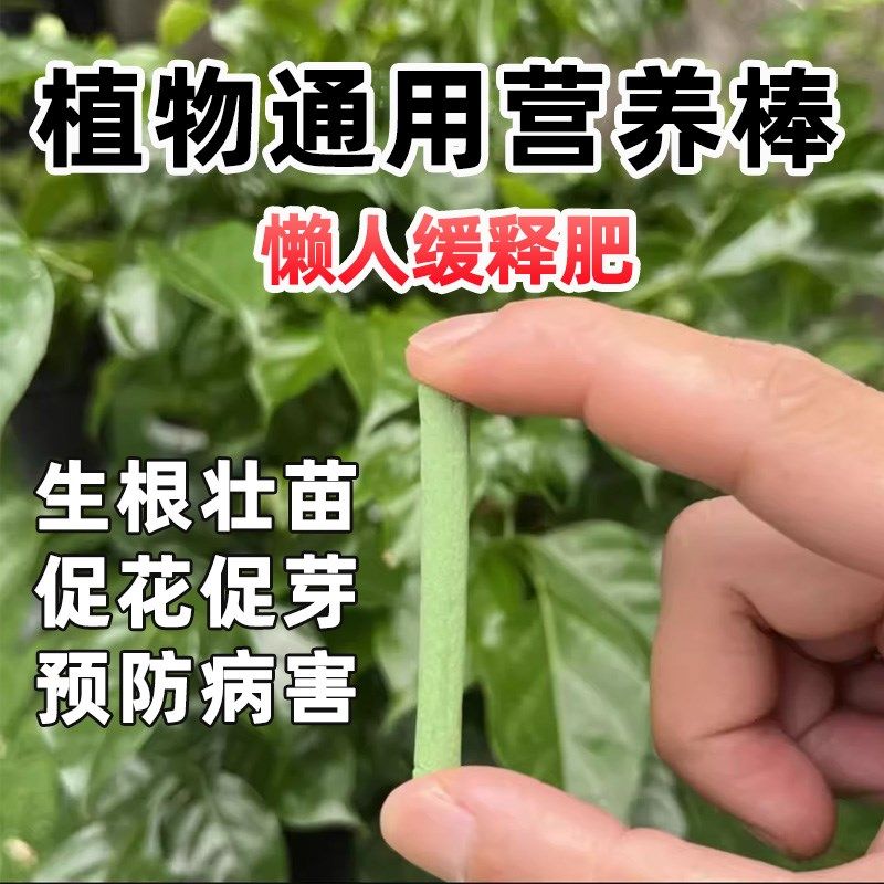 植物缓释棒家用花肥料养花通用型盆栽植物棒状花卉缓释片肥营养,鲜花速递/花卉仿真/绿植园艺,家庭园艺肥料,淘宝优惠券,粉丝福利购,淘宝优惠卷