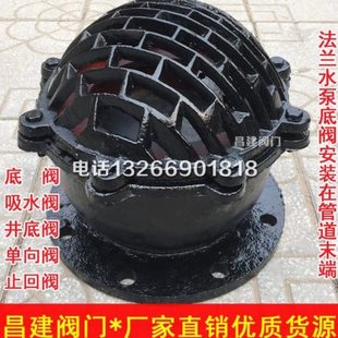 150 H42Xb 100 水泵底阀止逆阀止回阀莲蓬头DN50 200
