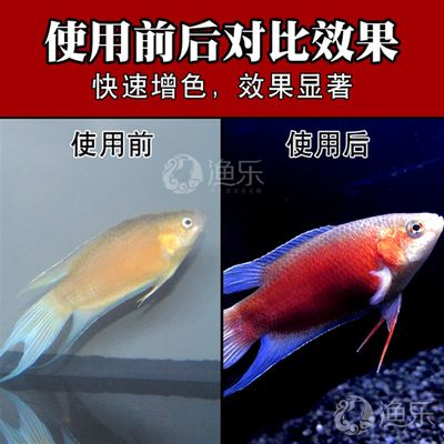 现货速发/斗鱼饲料增红增色高蛋白上浮小颗粒小型鱼鱼粮不浑水金