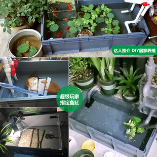 长方形塑料箱特大号胶箱加厚周转箱大码养殖鱼箱龟箱鱼缸长型EU箱